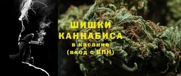 шишки Алзамай