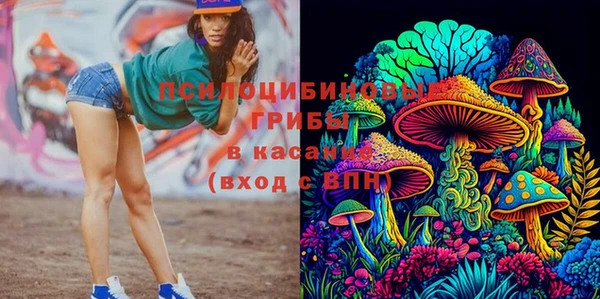 шишки Алзамай