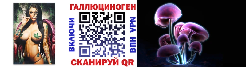 где купить Камбарка OMG маркетплейс Псилоцибиновые грибы прущие грибы