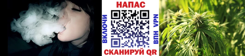 что такое Камбарка Каннабис индика